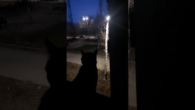 20250328_193926 смотреть онлайн