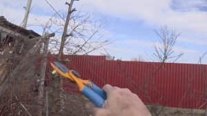 Быстрая обрезка колонновидной яблоньки