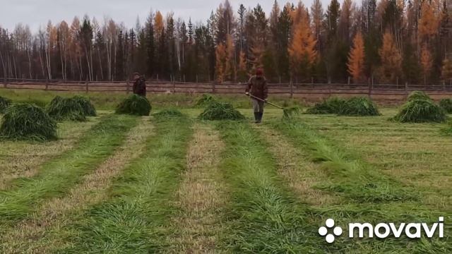 29 октября 2021 г.