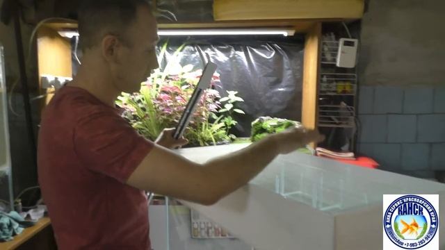заказать такой аквариум можете у нас смотреть онлайн