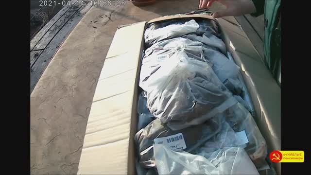 Как сохранить растения ИЗ ПОСЫЛКИ до высадки в грунт.