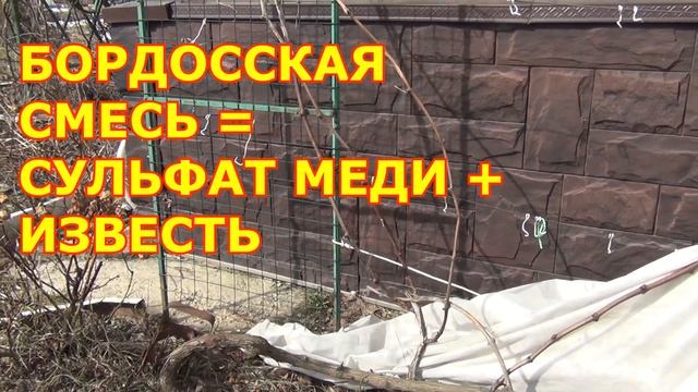 САД и ВИНОГРАД. ОБРАБОТКИ РАННЕЙ ВЕСНОЙ смотреть онлайн