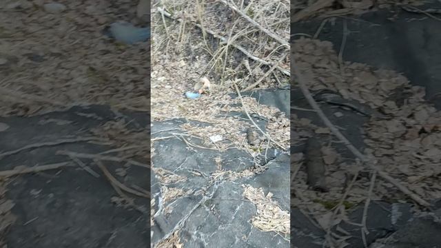 часть 1, мини костёрчик смотреть онлайн