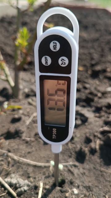 Тестируем почву 28.03.2025 г.#весна#Кубань#сад#рассада