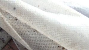 КОГДА ОБРЕЗАТЬ и УКРЫВАТЬ ВИНОГРАД в Средней Полосе ??? ЗАКАЛКА ЛОЗ