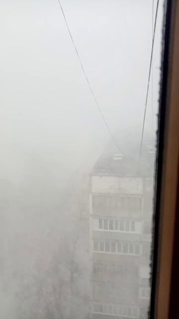 Буран в конце зимы 2025 #барнаул #погода #snow #снег #зима 240325