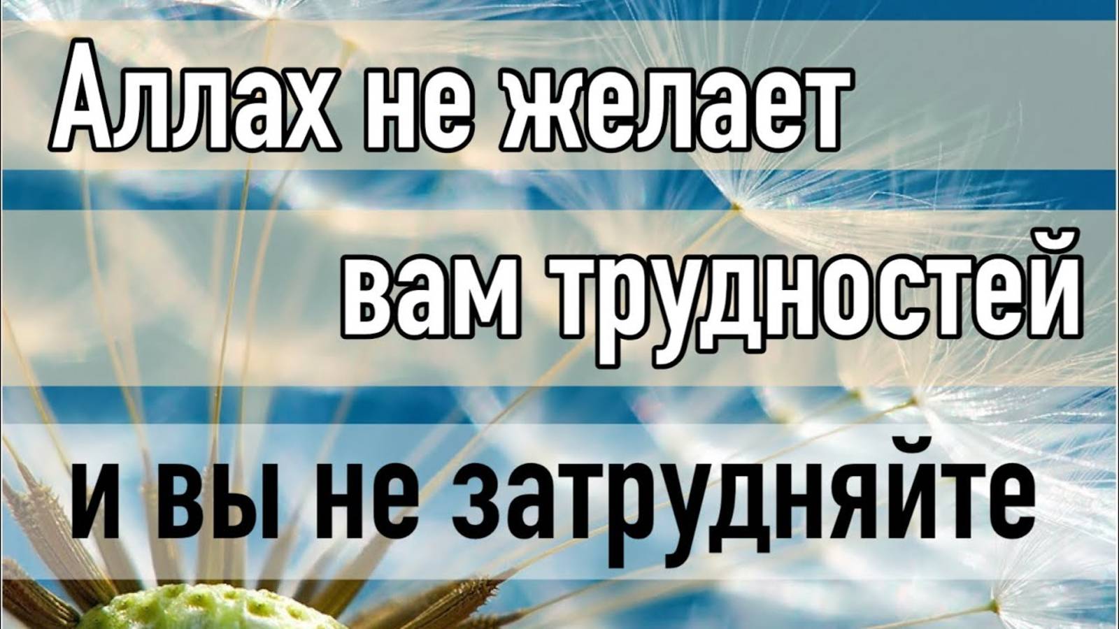 Аллах не желает вам трудности, так не затрудняйте себе Религию смотреть онлайн