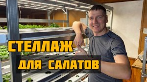 Стеллаж для выращивания салатов дома