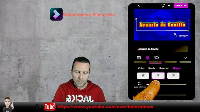 FILMGO20: APP FilmoraGo - Agregar textos a nuestros vídeos. смотреть онлайн