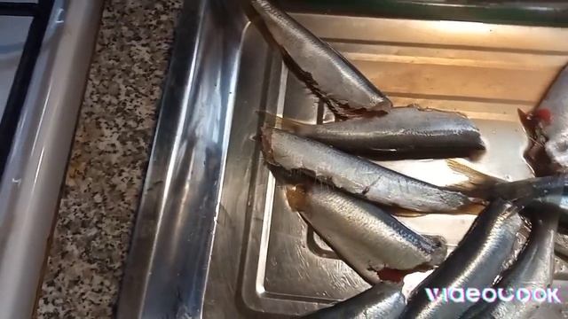 Салака солена сухим посолом