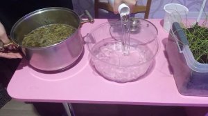 Натуральная подкормка для лука чернушки