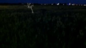 Пони страшилка пугало