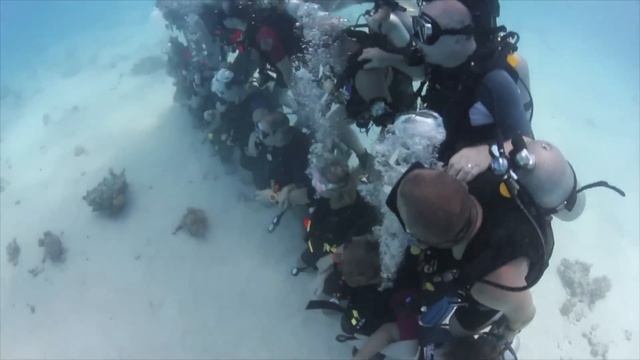 The Canary Divers Pyramid Of Doom смотреть онлайн