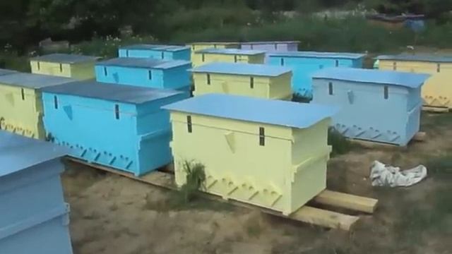 Ульи с пчёлами для Пасек под ключ июнь 2015 смотреть онлайн