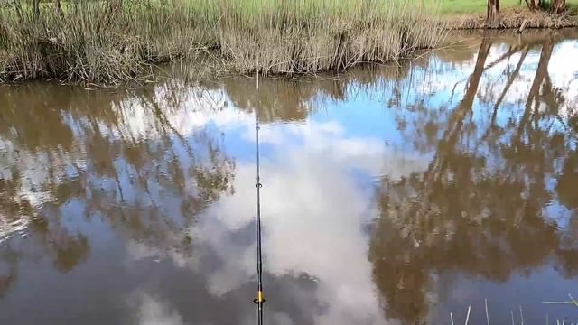 I Caught 214cm Of Fish