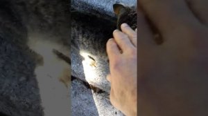 Санаторий МВД "Прогресс"