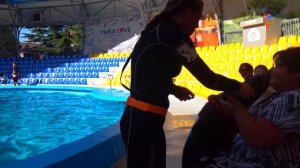 КАТЯ в ДЕЛЬФИНАРИИ часть2/ДЕЛЬФИНАРИЙ "Акварель"/Крым Алушта/Выступление Дельфинов/ Видео для детей