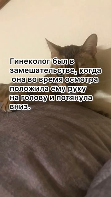 Гинеколог в замешательстве. #shorts #юмор #анекдоты #анекдототкожаного смотреть онлайн