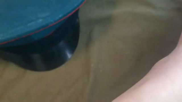 сравнение офицерских  фуражек