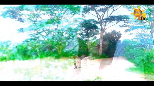 Nil Nethu - Tharaka Chinthaka ft Nishshanka Udaya | [www.hirutv.lk] смотреть онлайн