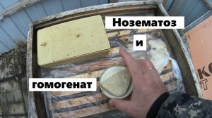 Нозематоз и гомогенат.