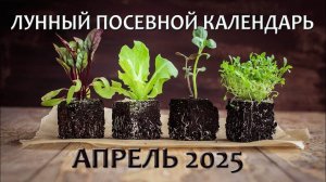 Лунный Посевной Календарь на Апрель 2025