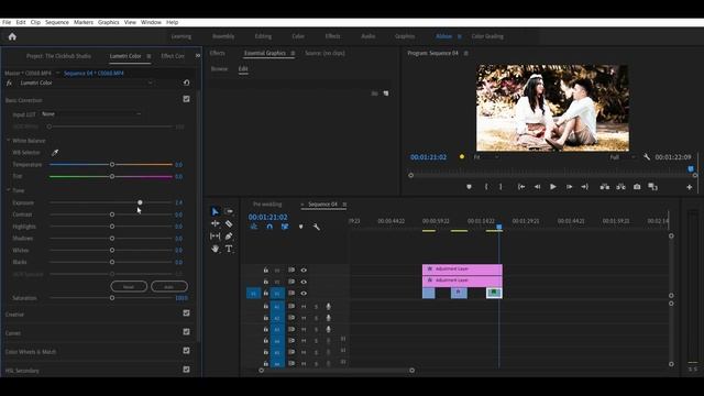 How To Get The CINEMATIC LOOK In Premiere Pro Tutorial | FREE LUTS