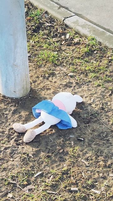 Зайку бросила хозяйка 🐰 смотреть онлайн