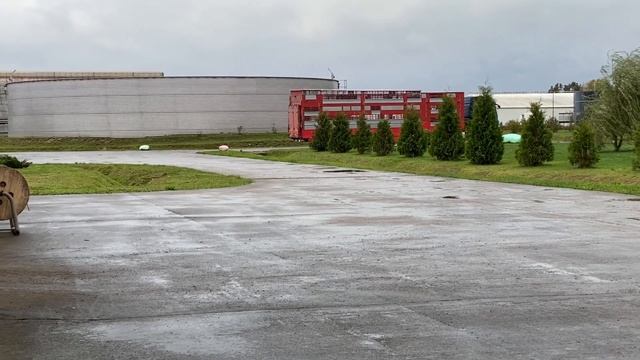 ЗЕБРА линии уже едет ,чтобы перевезти Ваших животных смотреть онлайн