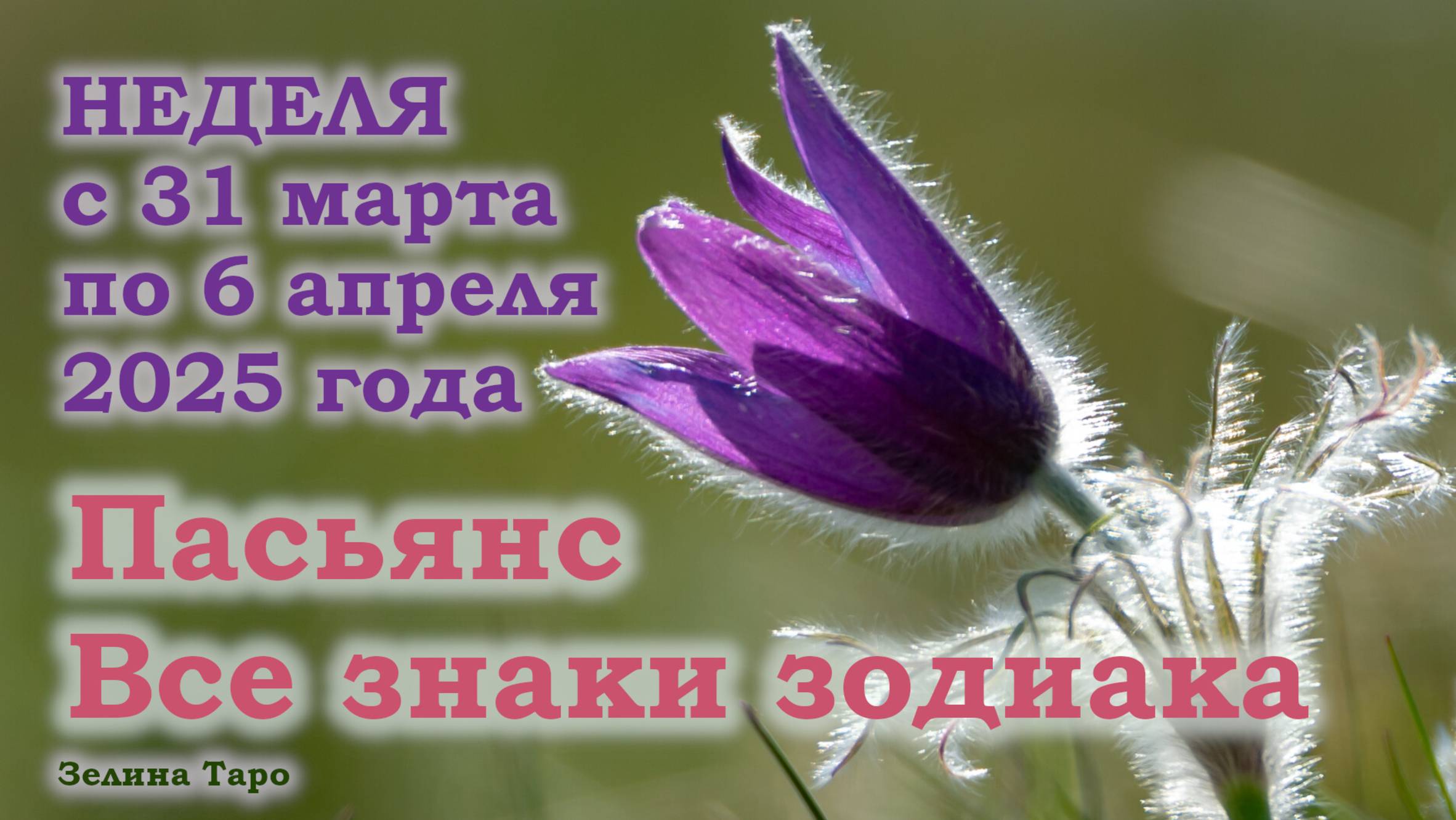 ПАСЬЯНС | Прогноз на неделю с 31 марта по 6 апреля 2025 года для всех знаков зодиака