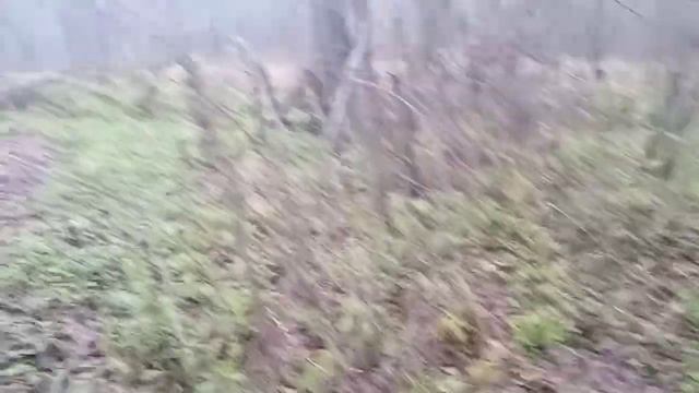 2 день активного отдыха.... смотреть онлайн