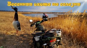 Shineray intruder 200 | Весенняя охота на китайце