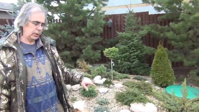 САД НЕПРЕРЫВНОЙ КРАСОТЫ своими руками. Ландшафтный дизайн смотреть онлайн