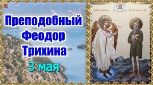 Преподобный Феодор Трихина (Власяничник). 3 мая.