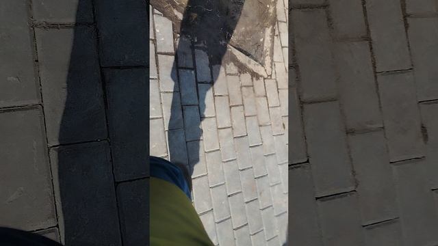 Кошка пельмень шлёпа