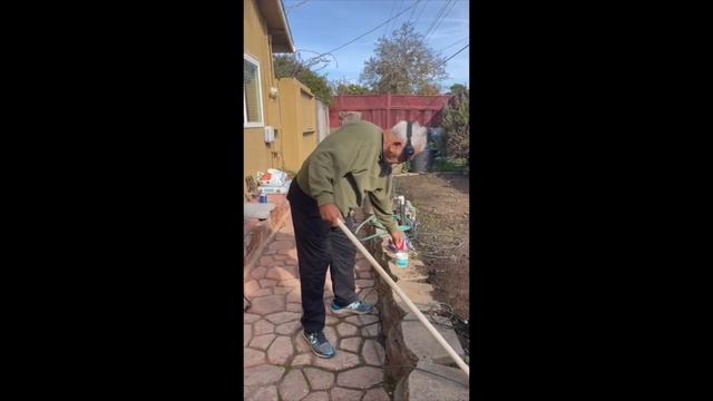 Portugee Clever смотреть онлайн