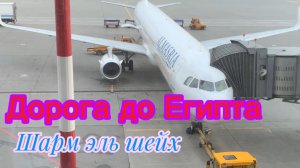 Путешествие в Египет 2025 начинается! Шарм эль шейх ‼️