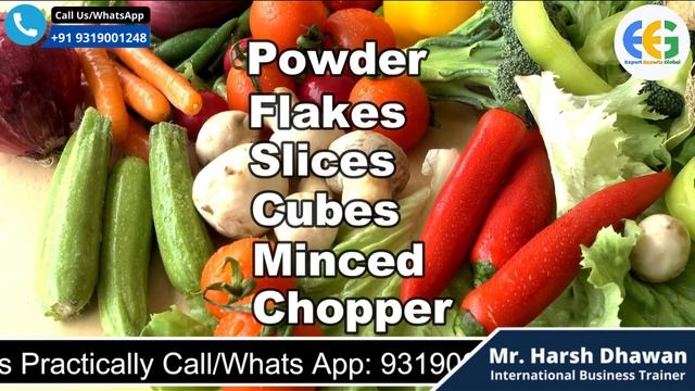 How to Start a Vegetable dehydration Business | New Business Idea | Product for Export Harsh Dhawan смотреть онлайн