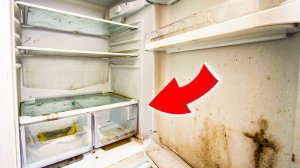 Лучший способ отмыть холодильник от запаха, пятен и плесени!