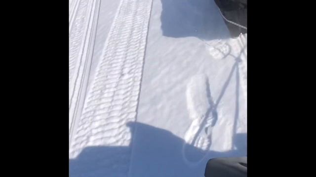 Этот снегокат просто Танк, не перестает удивлять смотреть онлайн