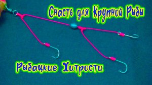Рыбацкие хитрости Донная снасть для ловли крупной рыбы без запутывания Лайфхак для Рыбалки