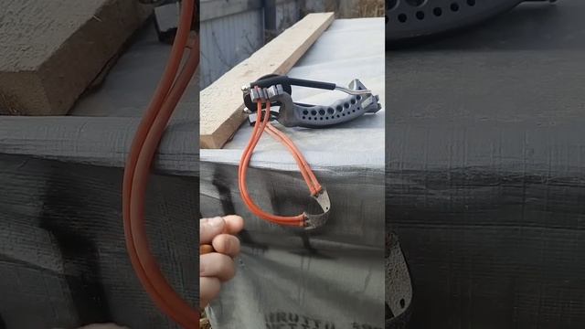 8 ноября 2024 г.