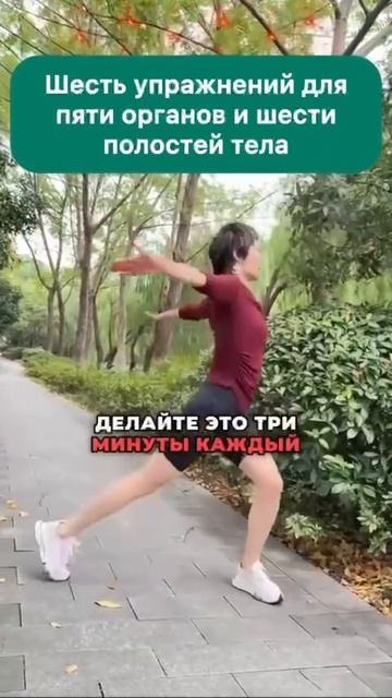 6 упражнений для органов тела