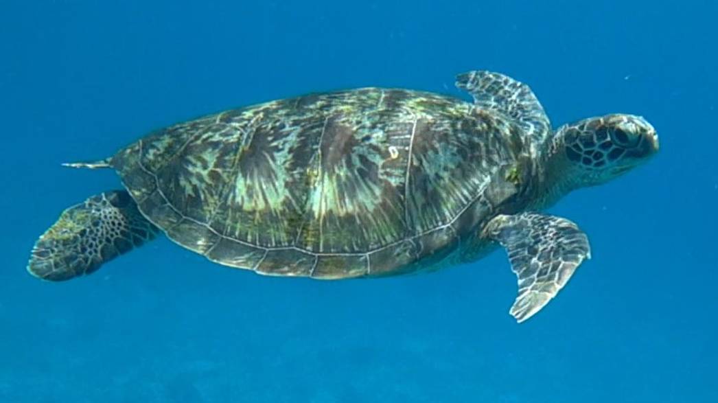 Острова Симиланы