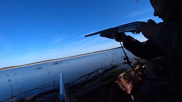 ТУРПАНА МНОГО КАК КОМАРОВ. ОХОТЫ НА УТОК 2024