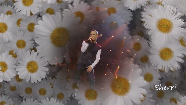 Юрий Шатунов - Ромашки смотреть онлайн