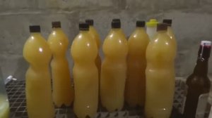 Пиво из хлеба простой рецепт (в домашних условиях)