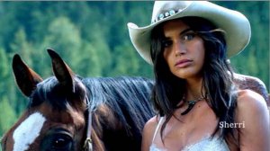 Ой, чий то кинь стоит