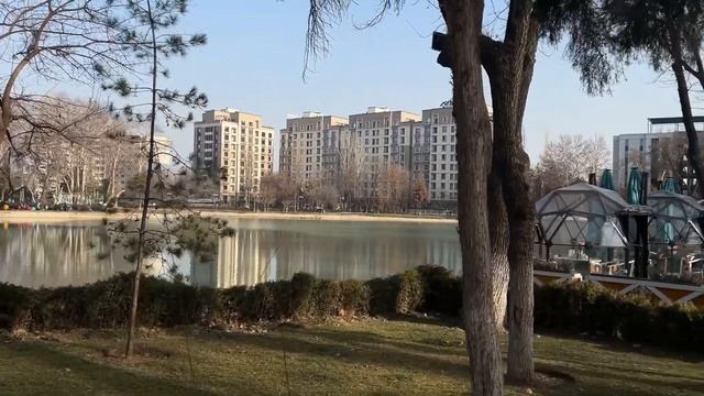 Dream Park в феврале 2024 года.Куда пойти с детьми в Ташкенте.#узбекистан #ташкент #парк#аптека