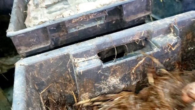 Смотрим состояние червей в ящиках и стеллажах на 30 марта 2025г. смотреть онлайн